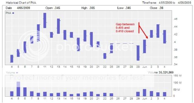 PNA share price