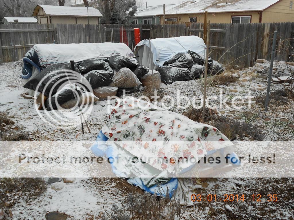 tunnels covered up photo DSCN0318_zpsa65468ba.jpg