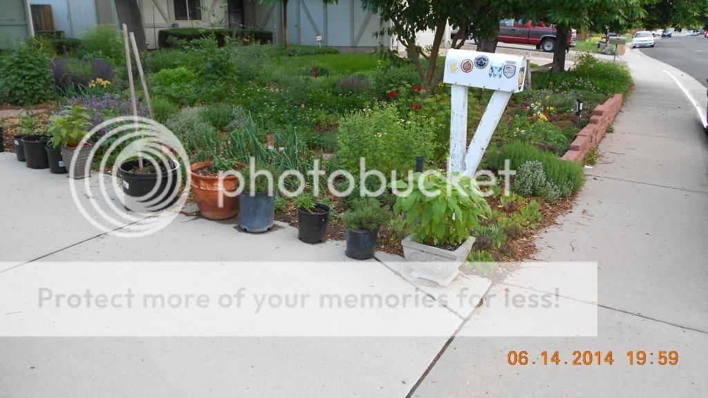  photo DSCN0375_zps036437d2.jpg