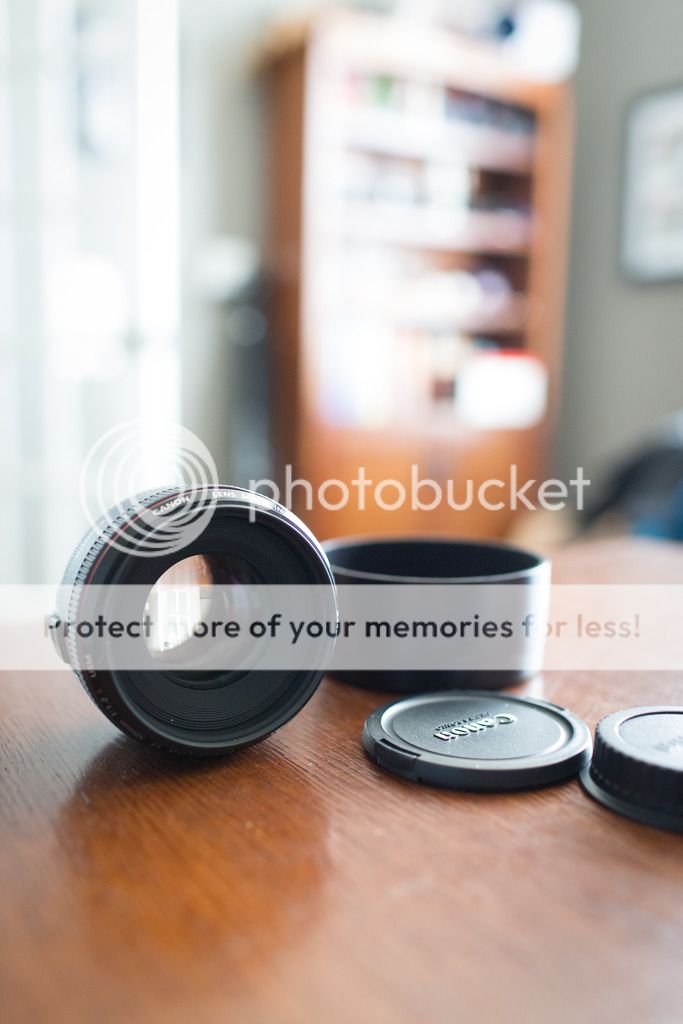 IMAGE: http://i626.photobucket.com/albums/tt345/gmoore34/PI2A1982_zpss3jq2lbo.jpg