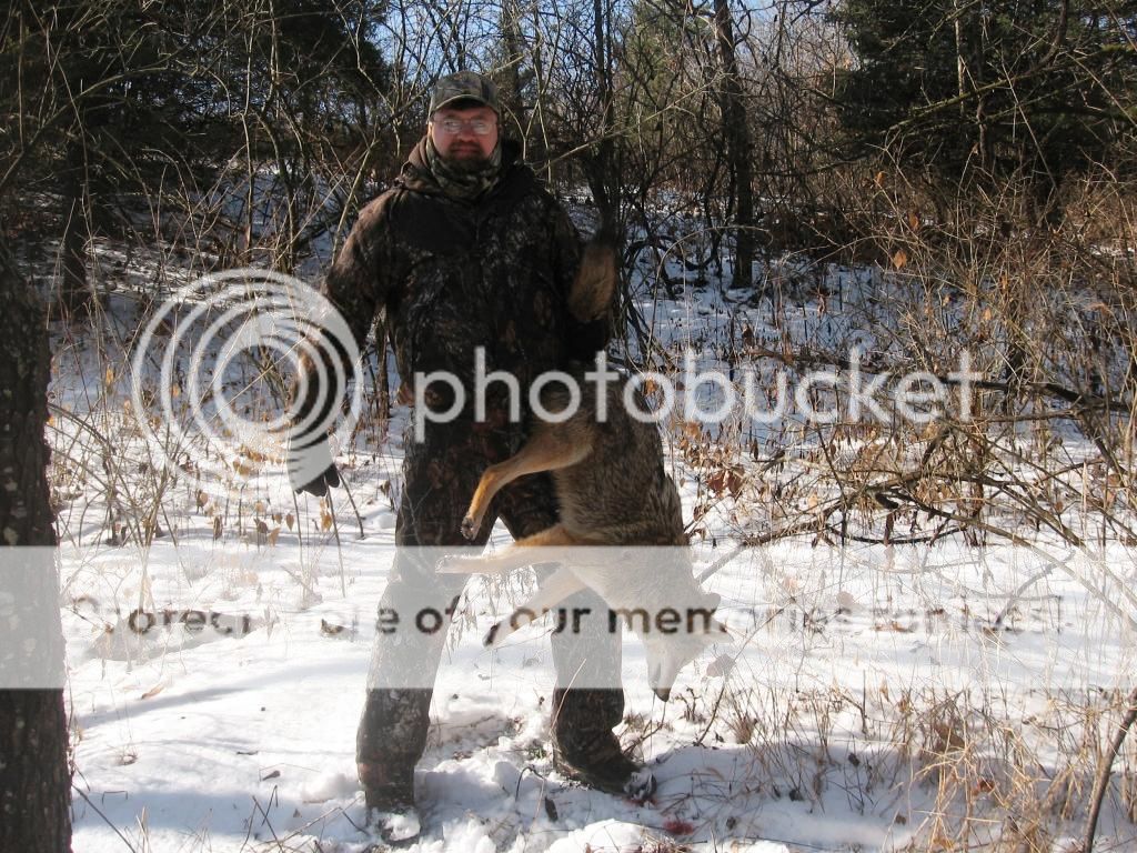 33poundcoyote_zps346c3a64.jpg