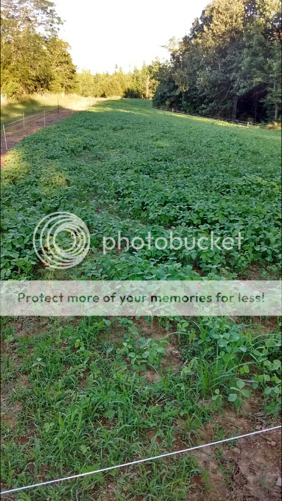 9783BF55-721C-4B58-B650-588B9D1AE4D4_zps