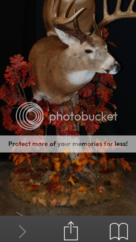 EFED1365-9CD1-4E2B-9692-38F7AD1D606E_zps