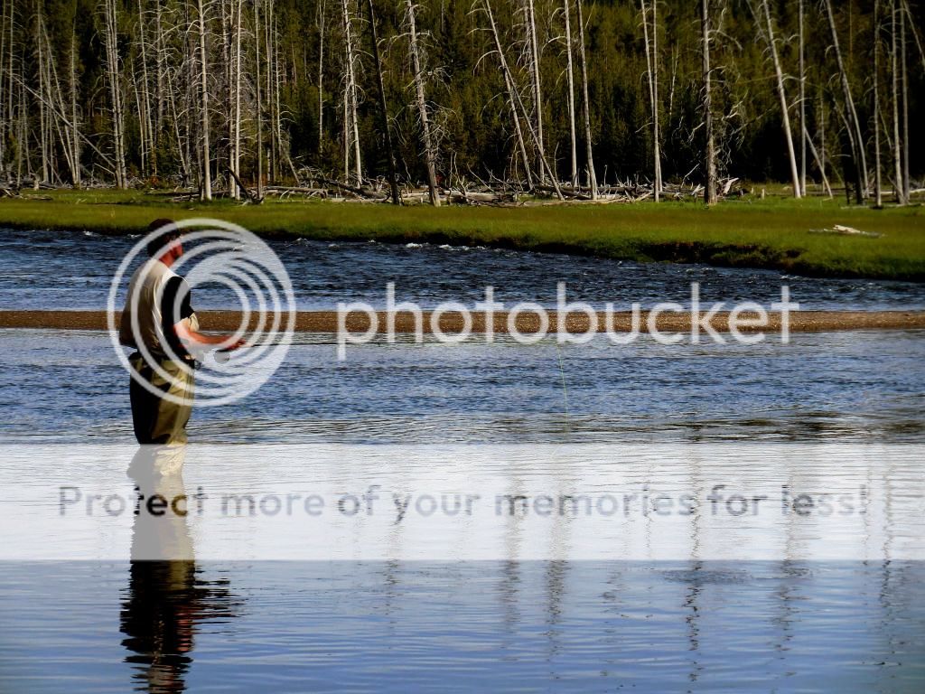 FlyFishing2_zps4f740d8d.jpg