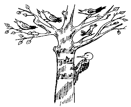 Диригент