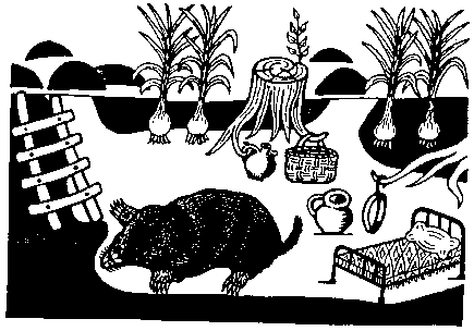 Къртица