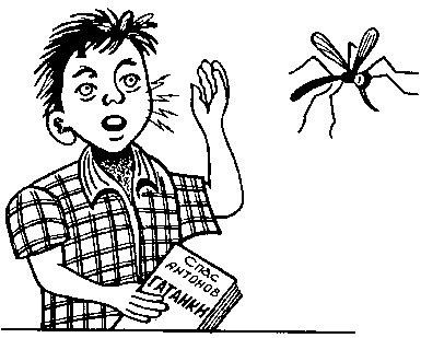Комар