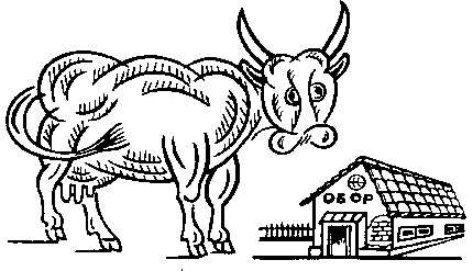 Крава