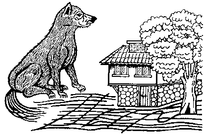 Куче