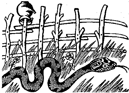 Змия