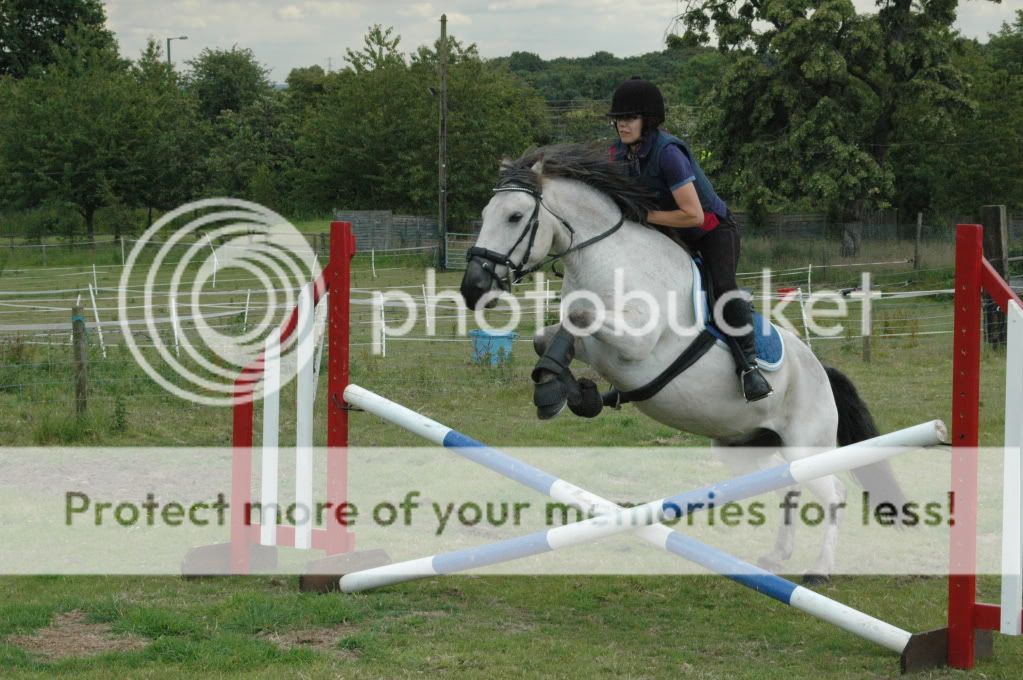 Max jumping height for pony/horse size New Rider Forum