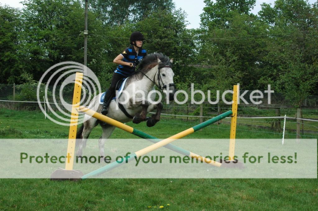 Max jumping height for pony/horse size New Rider Forum