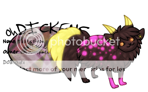User Image